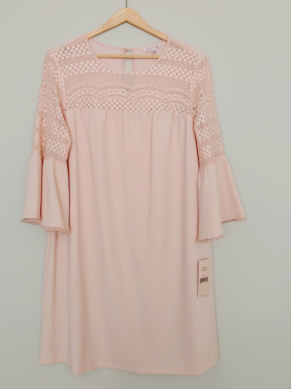 Nannette Blush Pink Crochet Yoke Bell Sleeve Dress